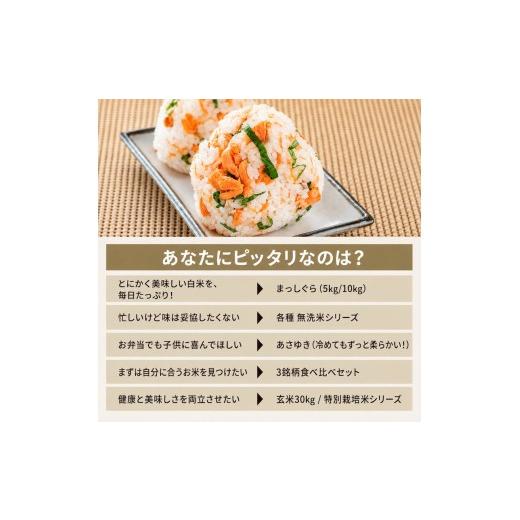 ふるさと納税 玄米 青森県 鰺ヶ沢町 先行予約 令和8年産 あさゆき 玄米 5kg H.GREENWORK 青森県 鰺ヶ沢産 ／ お米 希少米 もっちり 備蓄 健康 津軽 |  | 04