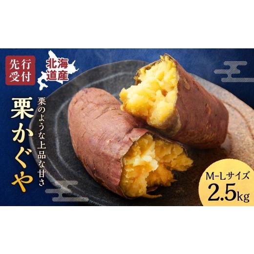 ふるさと納税 野菜類 サツマイモ 北海道 雨竜町 数量限定 北海道雨竜町産 さつまいも 「栗かぐや」M-Lサイズ 2.5kg 大きめサイズ 産地直送 さつまいも サツマ…