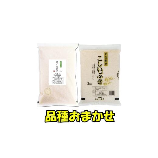 ふるさと納税 米 新潟県 新潟市 最短3日配送 新潟県産 品種おまかせ 2kg 新潟県 新潟市産 令和7年産 お米 精米 米 ご飯 送料無料