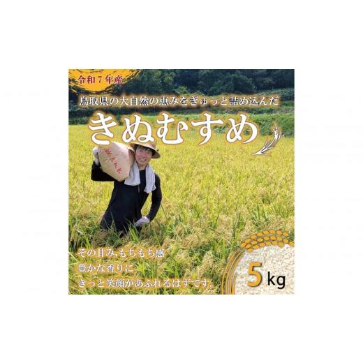 ふるさと納税 米 きぬむすめ 鳥取県 三朝町 令和7年産 原田農園きぬむすめ 5kg