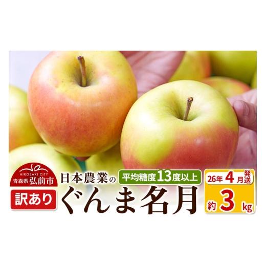 ふるさと納税 りんご 青森県 弘前市 26年4月クール便発送 りんご 平均糖度13度以上 ぐんま名月 約3kg 訳あり CA貯蔵 クール便 青森 果物 フルーツ 林檎 リン…