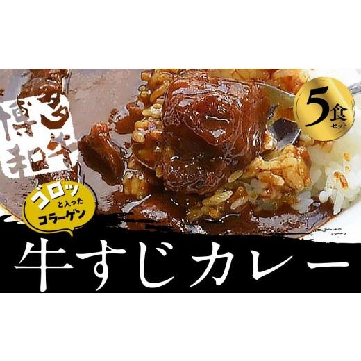 ふるさと納税 加工品等 レトルト 福岡県 大任町 ゴロッ と入ったコラーゲン博多和牛すじカレー5食セット(大任町)