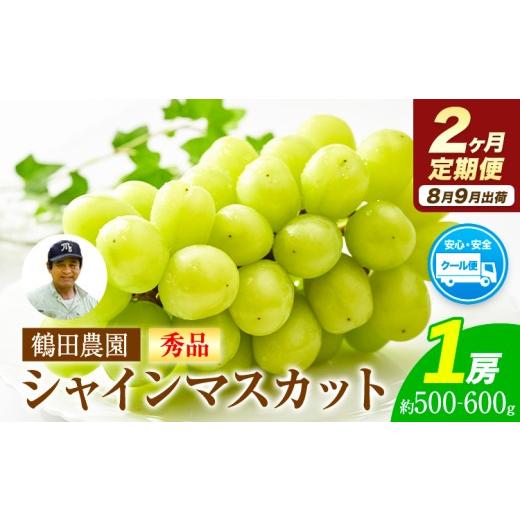 ふるさと納税 ぶどう マスカット 熊本県 荒尾市 2ヶ月定期便 秀品 先行予約 シャインマスカット 約500-600g (1房) /月×2回 フルーツ 果物 送料無料 葡萄 ぶ…