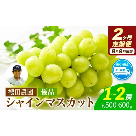 ふるさと納税 ぶどう マスカット 熊本県 荒尾市 2ヶ月定期便 優品 先行予約 シャインマスカット 鶴田農園 約500-600g (1-2房) /月×2回 熊本県荒尾市産[8月…