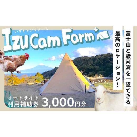 ふるさと納税 体験チケット 静岡県 伊豆市 伊豆キャンファーム オートサイト利用補助券3,000円分