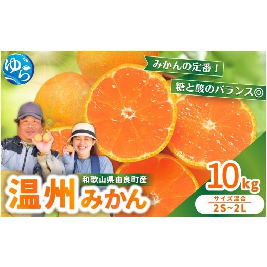 ふるさと納税 果物類 みかん 和歌山県 由良町 温州みかん 10kg 2S〜2Lサイズ混合 12月発送 / 温州 みかん 和歌山 由良 甘い フルーツ 人気 正月 農家直送 202…