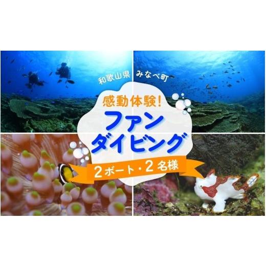 ふるさと納税 スポーツ・アウトドア 和歌山県 みなべ町 ダイビング 和歌山県みなべ町で感動体験 サンマリン ファンダイビング(2ボート・2名様)