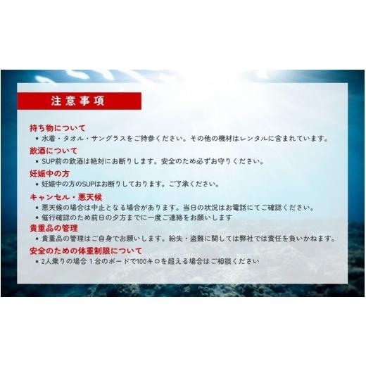 ふるさと納税 スポーツ・アウトドア 和歌山県 みなべ町  SUP 家族や仲間と楽しむ サンマリン SUP体験（4名様） smr003の画像