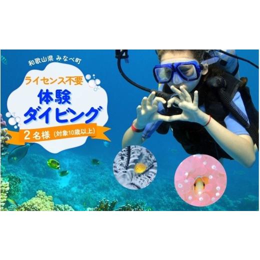 ふるさと納税 スポーツ・アウトドア 和歌山県 みなべ町 ダイビング ライセンス不要 感動の水中世界へ サンマリン 体験ダイビング(2名様)