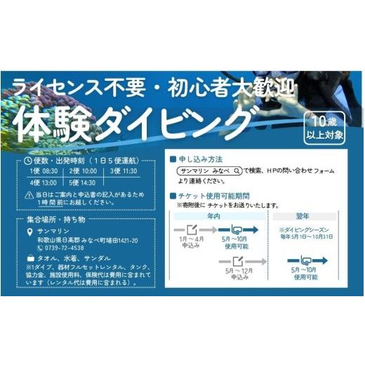 ふるさと納税 スポーツ・アウトドア 和歌山県 みなべ町  ダイビング ライセンス不要 感動の水中世界へ サンマリン 体験ダイビング（2名様） smr004の画像