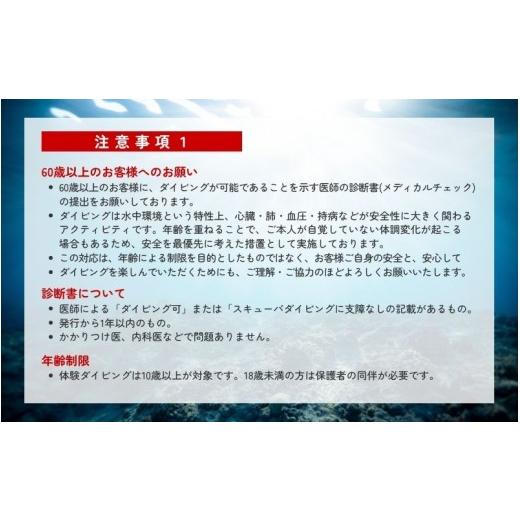 ふるさと納税 スポーツ・アウトドア 和歌山県 みなべ町  ダイビング ライセンス不要 感動の水中世界へ サンマリン 体験ダイビング（2名様） smr004の画像