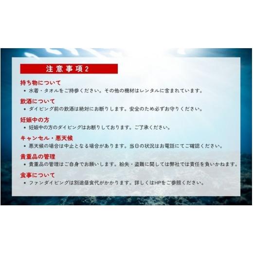 ふるさと納税 スポーツ・アウトドア 和歌山県 みなべ町  ダイビング ライセンス不要 感動の水中世界へ サンマリン 体験ダイビング（2名様） smr004の画像