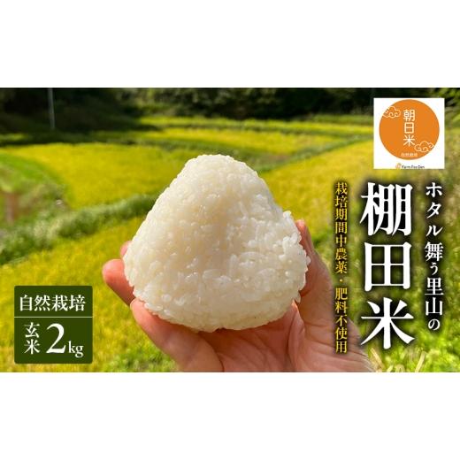 ふるさと納税 玄米 岡山県 赤磐市 先行受付 自然栽培 農薬不使用 肥料不使用 ホタル舞う里山の棚田米 玄米2kg 令和8年産 朝日2kg×1袋