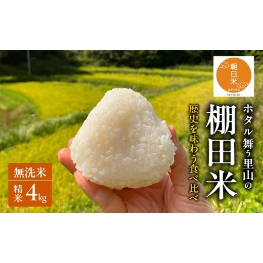 ふるさと納税 無洗米 岡山県 赤磐市 先行受付 伝統稲と現代稲食べ比べ 無洗米 ホタル舞う里山の棚田米 精米4kg 令和8年産 朝日2kg にじのきらめき2kg 各1袋