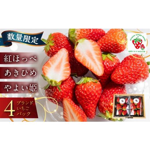 ふるさと納税 いちご 愛知県 豊橋市 数量限定 ブランドいちご 4パック 約 1000g 紅ほっぺ あきひめ やよい姫 北野イチゴHOUSE いちご イチゴ 苺 ブランド 甘…