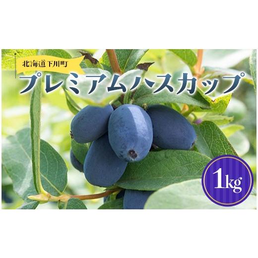ふるさと納税 果物類 北海道 下川町 及川農園 プレミアムハスカップ 1kg F4G-0342 1kg