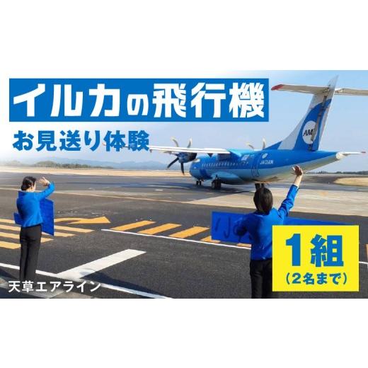 ふるさと納税 体験チケット 熊本県 天草市 S035-011_イルカの飛行機「天草エアライン」をスタッフと一緒にお見送り体験