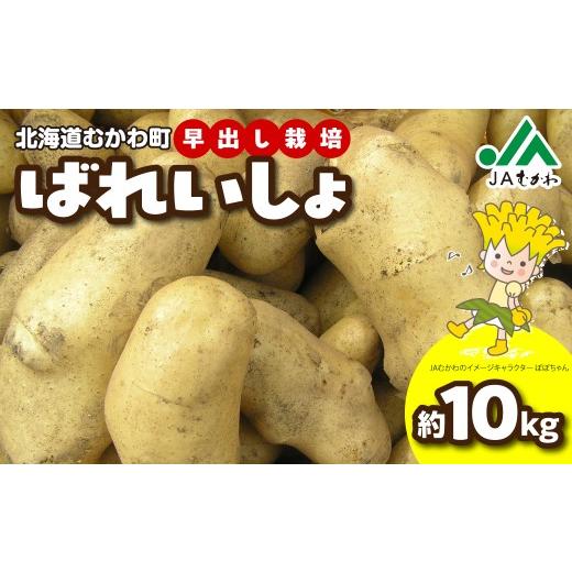 ふるさと納税 野菜類 じゃがいも 北海道 むかわ町 2026年8月上旬より発送 ばれいしょ ふるさと納税 人気 おすすめ ランキング 馬鈴薯 バレイショ 芋 いも じ…