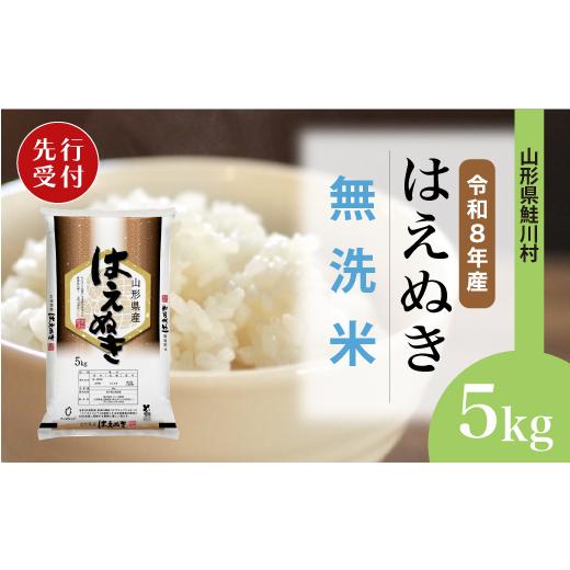 ふるさと納税 無洗米 山形県 鮭川村 令和8年産米先行受付 鮭川村 はえぬき 無洗米 5kg (5kg×1袋) 配送時期選べます