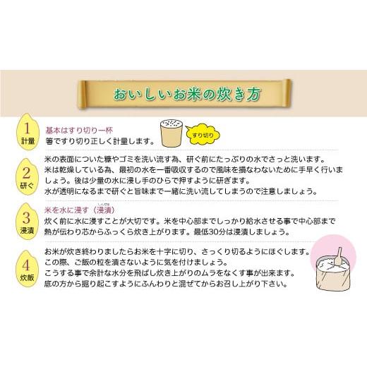 ふるさと納税 米 はえぬき 山形県 鮭川村  令和8年産米先行受付 鮭川村 はえぬき 白米 定期便 30kg （5kg×1ヶ月間隔で6回お届け） 配送時期選べますの画像