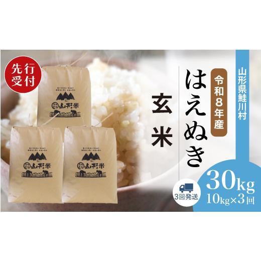 ふるさと納税 玄米 山形県 鮭川村 令和8年産米先行受付 鮭川村 はえぬき 玄米 30kg定期便 (10kg×3回発送) 配送時期選べます