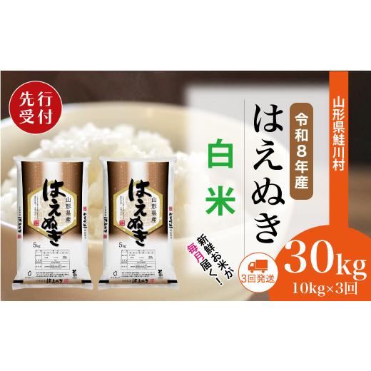 ふるさと納税 米 はえぬき 山形県 鮭川村 令和8年産米先行受付 鮭川村 はえぬき 白米 定期便 30kg (10kg×1ヶ月間隔で3回お届け) 配送時期選べます