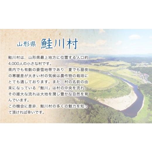 ふるさと納税 米 はえぬき 山形県 鮭川村  令和8年産米先行受付 鮭川村 はえぬき 白米 定期便 30kg （10kg×1ヶ月間隔で3回お届け） 配送時期選べますの画像