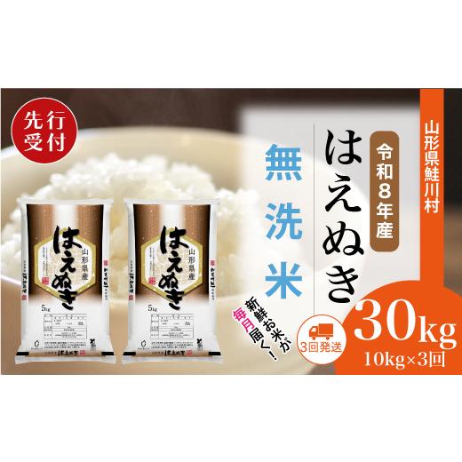 ふるさと納税 無洗米 山形県 鮭川村 令和8年産米先行受付 鮭川村 はえぬき 無洗米 定期便 30kg (10kg×1ヶ月間隔で3回お届け) 配送時期選べます
