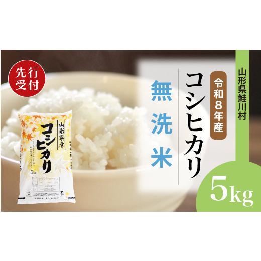 ふるさと納税 無洗米 山形県 鮭川村 令和8年産米先行受付 鮭川村 コシヒカリ 無洗米 5kg (5kg×1袋) 配送時期選べます