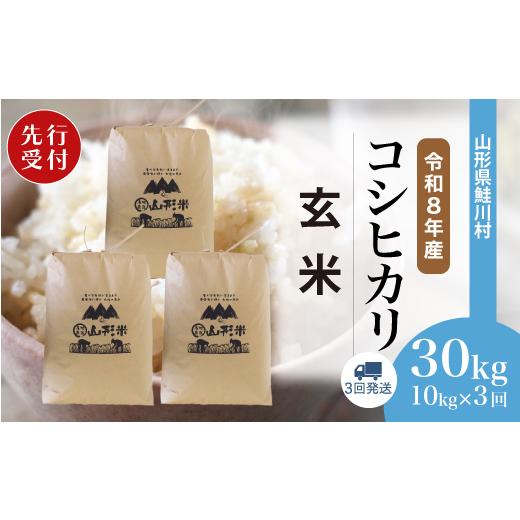 ふるさと納税 玄米 山形県 鮭川村 令和8年産米先行受付 鮭川村 コシヒカリ 玄米 30kg定期便 (10kg×3回発送) 配送時期選べます