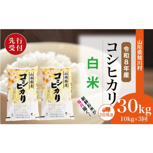 ふるさと納税 米 コシヒカリ 山形県 鮭川村 令和8年産米先行受付 鮭川村 コシヒカリ 白米 定期便 30kg (10kg×1ヶ月間隔で3回お届け) 配送時期選べます