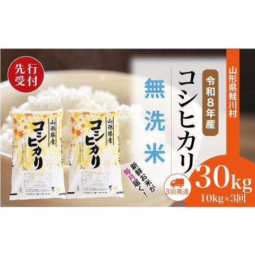 ふるさと納税 無洗米 山形県 鮭川村 令和8年産米先行受付 鮭川村 コシヒカリ 無洗米 定期便 30kg (10kg×1ヶ月間隔で3回お届け) 配送時期選べます