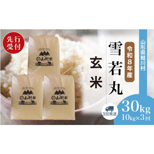 ふるさと納税 玄米 山形県 鮭川村 令和8年産米先行受付 鮭川村 雪若丸 玄米 30kg定期便 (10kg×3回発送) 配送時期選べます