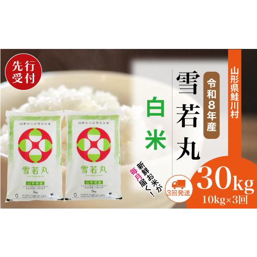 ふるさと納税 米 山形県 鮭川村 令和8年産米先行受付 鮭川村 雪若丸 白米 定期便 30kg (10kg×1ヶ月間隔で3回お届け) 配送時期選べます