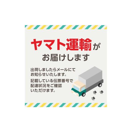 ふるさと納税 電化製品 東京都 新宿区 BRUNO 衣類スチーマー グレージュ スチーマー プレス スチーム 衣類 ソファ ぬいぐるみ インテリア 除菌 脱臭 花粉 ダニ…の画像