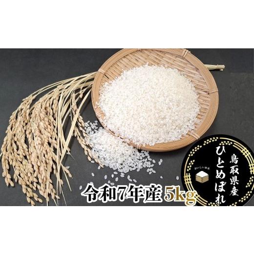 ふるさと納税 米 ひとめぼれ 鳥取県 八頭町 鳥取県産「ひとめぼれ」精白米5kg(令和7年産)