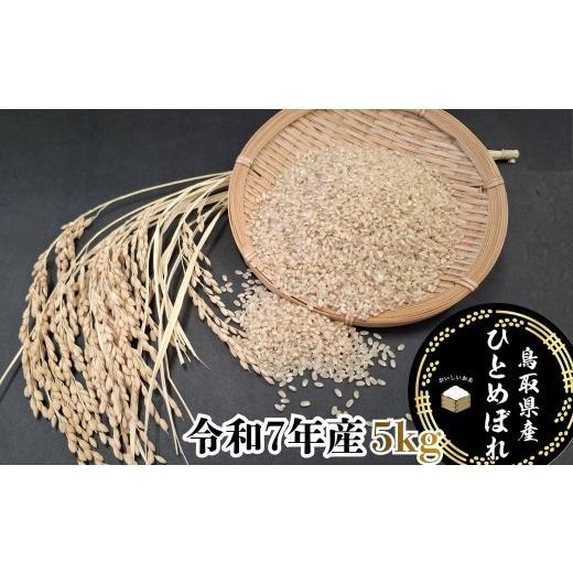 ふるさと納税 玄米 鳥取県 八頭町 鳥取県産「ひとめぼれ」玄米5kg(令和7年産)