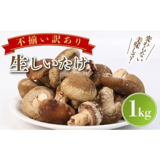 ふるさと納税 野菜類 きのこ 静岡県 三島市 予約受付中 訳あり 不揃い 生しいたけ 1kg しいたけ シイタケ 生椎茸 菌床栽培 肉厚 キノコ 野菜 きのこ 出汁 煮…
