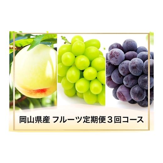 ふるさと納税 果物の詰合せ 岡山県 倉敷市 全3回定期便 岡山県産 フルーツ定期便 お一人様向け 白桃 ピオーネ シャインマスカット 果物 くだもの フルーツ ぶ…