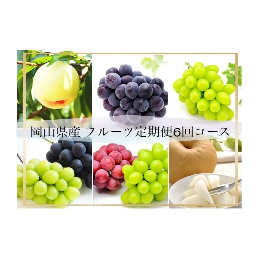 ふるさと納税 果物の詰合せ 岡山県 倉敷市 全6回定期便 岡山県産 フルーツ定期便 お一人様向け 白桃 ピオーネ シャインマスカット 果物 くだもの 果実 フルー…