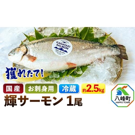 ふるさと納税 魚貝類 サーモン 秋田県 八峰町 獲れたて「輝サーモン」 まるごと1尾 (約2.5kg) 生・冷蔵 鮭 さけ お刺身や塩焼きに 国産 秋田県産 鮭 さけ サー…