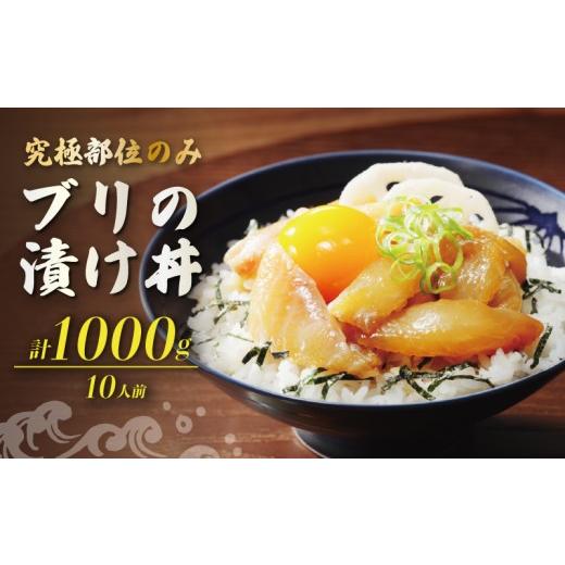 ふるさと納税 旬の鮮魚等 愛媛県 愛南町 希少部位のみ ブリの漬け丼 100g 10パック つのとろ 大トロ ぶり 鰤 漬け 漬け丼 希少部位 希少 トロ 小分け 冷凍 カ…