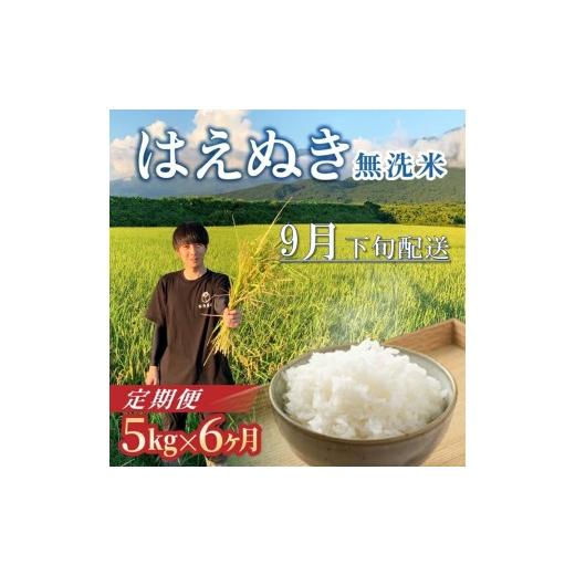ふるさと納税 無洗米 山形県 酒田市 9月下旬発送開始/ 6回定期便 令和8年産 [無洗米]はえぬき 5kg×6回(計30kg) 農家直送 HO SG0121 令和8年9月下旬発送開…