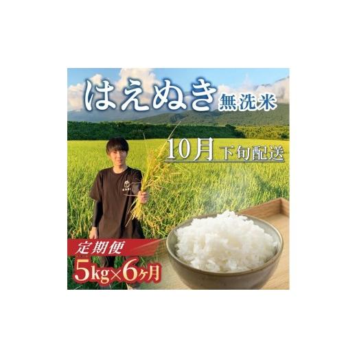 ふるさと納税 無洗米 山形県 酒田市 10月下旬発送開始/ 6回定期便 令和8年産 [無洗米]はえぬき 5kg×6回(計30kg) 農家直送 HO SG0122 令和8年10月下旬発送…