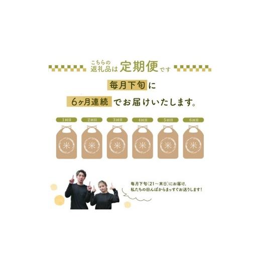 ふるさと納税 無洗米 山形県 酒田市 10月下旬発送開始／ 6回定期便 令和8年産 ［無洗米］はえぬき 5kg×6回(計30kg) 農家直送 HO SG0122 令和8年10月下旬発送…の画像