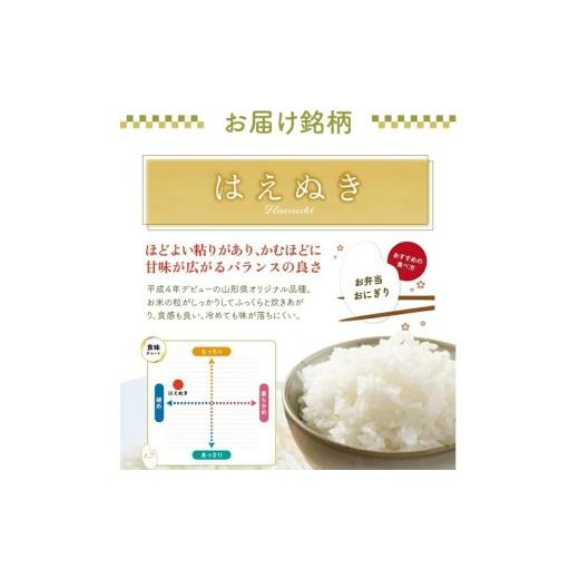 ふるさと納税 無洗米 山形県 酒田市 10月下旬発送開始／ 6回定期便 令和8年産 ［無洗米］はえぬき 5kg×6回(計30kg) 農家直送 HO SG0122 令和8年10月下旬発送…の画像