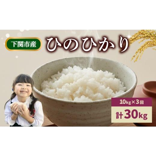 ふるさと納税 米 ヒノヒカリ 山口県 下関市  定期便 3ヶ月 令和7年産 米 ひのひかり 10kg お届け回数3回 お米 白米 こめ コメ ご飯 ごはん ライス 菊川町 きく…の画像