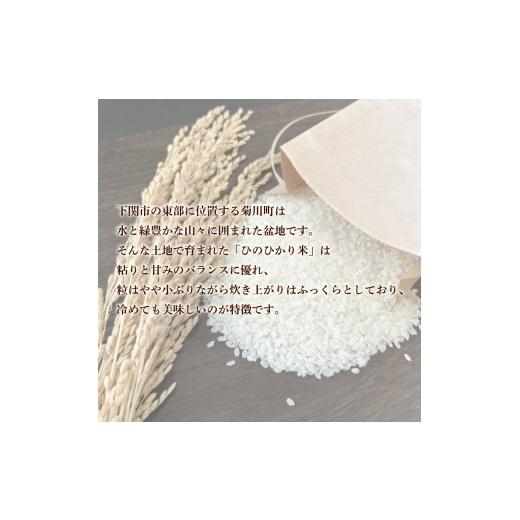 ふるさと納税 米 ヒノヒカリ 山口県 下関市  定期便 3ヶ月 令和7年産 米 ひのひかり 10kg お届け回数3回 お米 白米 こめ コメ ご飯 ごはん ライス 菊川町 きく…の画像