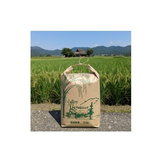 ふるさと納税 米 ヒノヒカリ 山口県 下関市  定期便 3ヶ月 令和7年産 米 ひのひかり 10kg お届け回数3回 お米 白米 こめ コメ ご飯 ごはん ライス 菊川町 きく…の画像