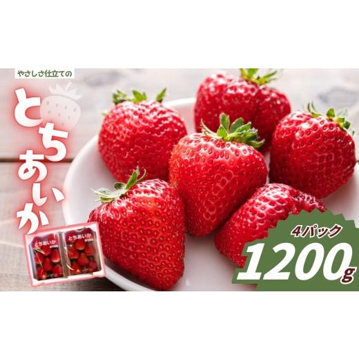 ふるさと納税 いちご 栃木県 矢板市 やさしさ仕立ての とちあいか 300g×4P 2027年先行予約 栃木県 矢板市 300g×4P | 20,000円